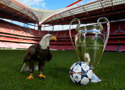 同位置对决看得人上头